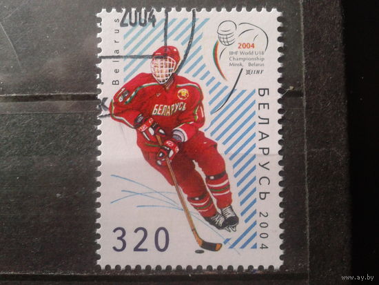 2004 Хоккей
