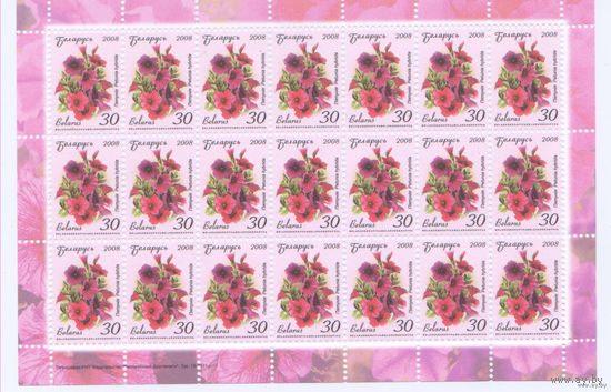 Стандарт РБ 2008 , No730. Петуния , лист 21 марка,