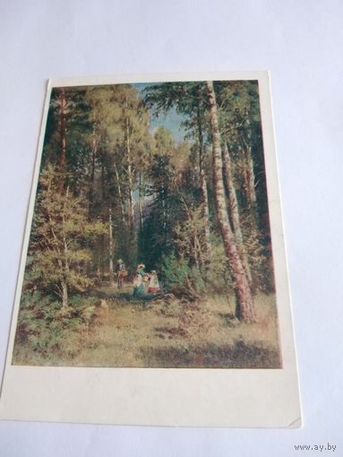 Открытка 1959г. И. Шишкин. В лесу.