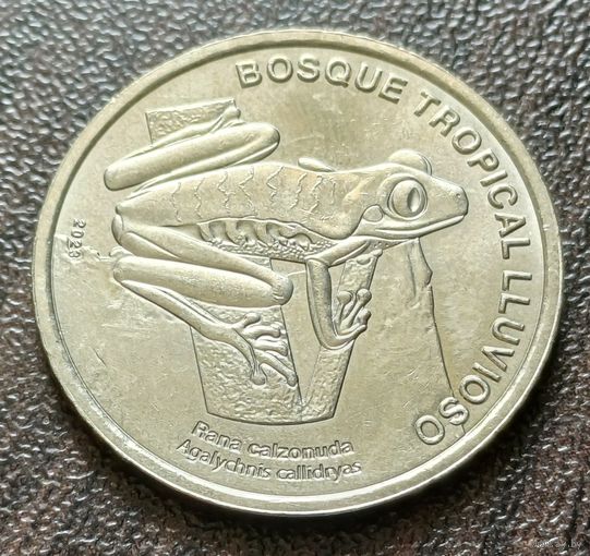 Коста-Рика 50 колонов, 2023   Красноглазая квакша    ( 2-8-3 )