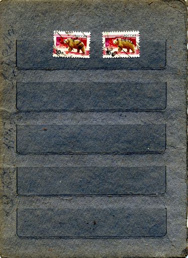 РОССИЯ, 2008,  ФАУНА, стандарт,  2м   по 20коп за шт гашен