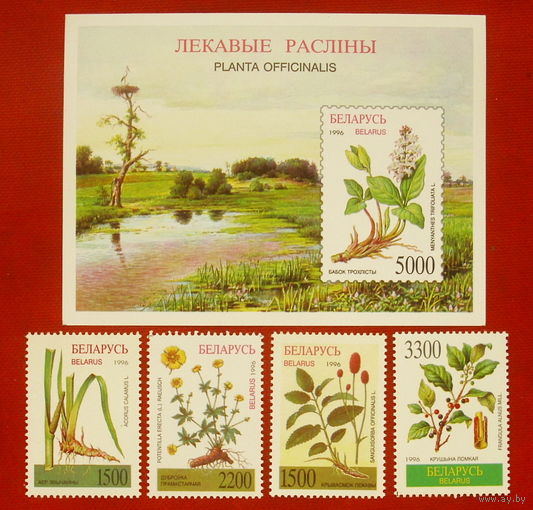 Беларусь. Лекарственные растения. ( Блок и 4 марки ). 7-16.