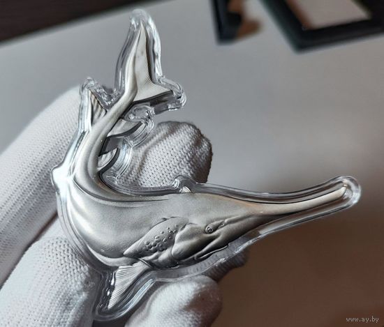 Фиджи, 1 доллар 2023 г, KM#1136 (Ag999, памятная - вымерший китайский веслонос, в рамке), Antique Finish