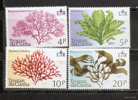 ФФ1 Тристан де Кунья 1975 Кораллы