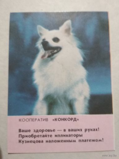 Карманный календарик. Собака. 1993 год