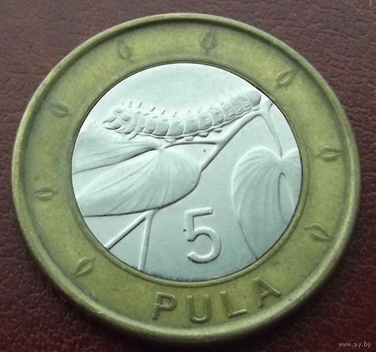 Ботсвана. 5 пула 2013