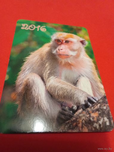 Календарик 2016г.