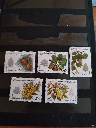 1980 СССР флора чистая полная серия MNH** (сф-1)