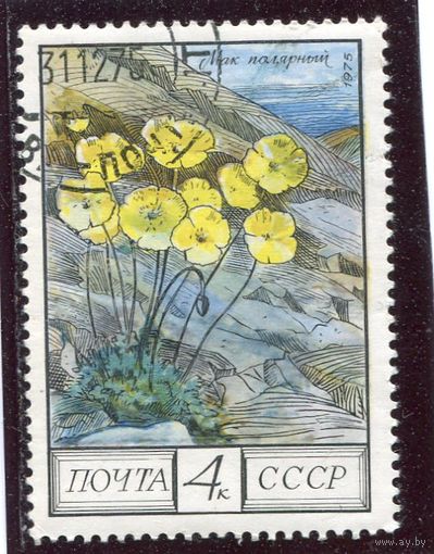 СССР 1975.. Флора. Мак полярный