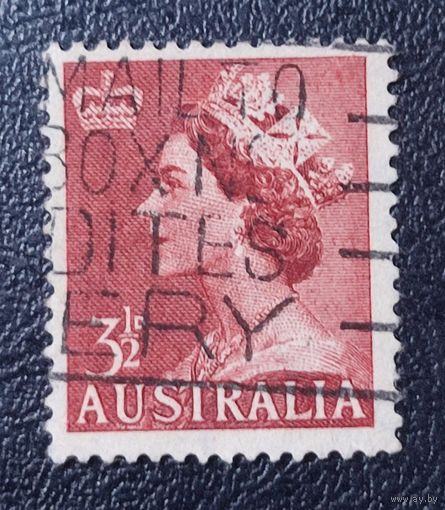 Марка Австралия 1956г. 3.8