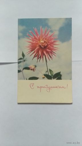 Открытка