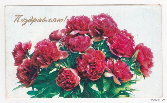 Открытка 1974 (142)