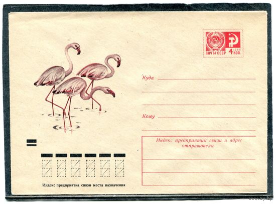 СССР 1973. ХМК. Конверт. Фауна. Фламинго