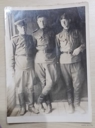 Фото в коллекцию