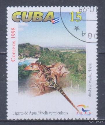 [994] Куба 1998. Фауна.Ящерица. Гашеная марка. 2