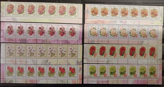 Марки Беларуси, полные нижние сцепки 12 стандарта, Садовые цветы, КМ 738 - 745, номера заказов подряд 362 - 369 2008 каталог 85,5 евро