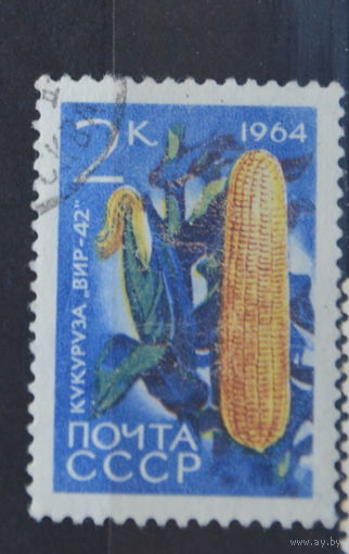 Ссср