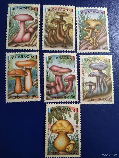 Никарагуа 1985г. Грибы.