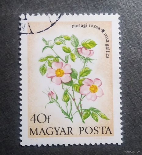 Марка Венгрия 1973 Цветы
