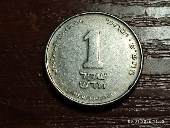 Израиль 1 новый шекель 2000