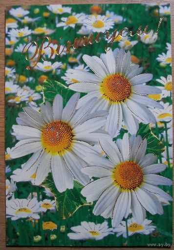 Карточки РБ. Вiншуем. 2005г.