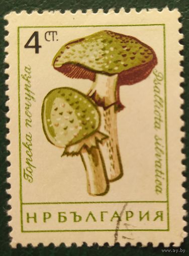 Болгария 1961 грибы 1 из 8.