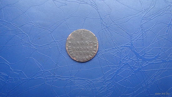 1 грош 1824                               (544)