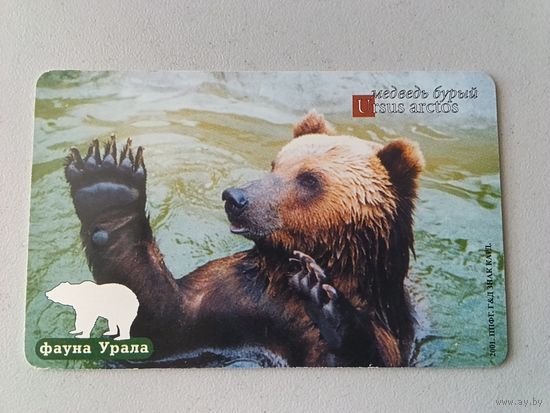 Телефонная карта. Медведь бурый. Фауна Урала