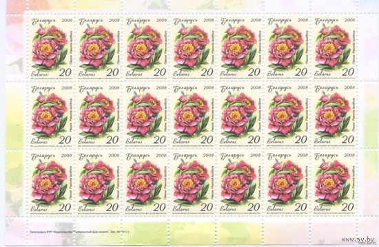 Стандарт РБ, 2008, марка No729 Пион, лист 21 марка зак. 84-2011