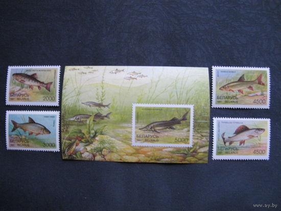 Марки + блок РБ (##223-227). Рыбы Беларуси