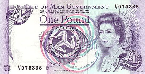 Остров Мэн 1 фунт образца 1990-2009 года UNC p40b