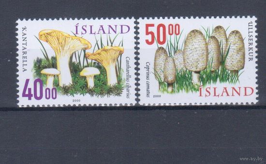 [1796] Исландия 2000. Грибы. СЕРИЯ MNH