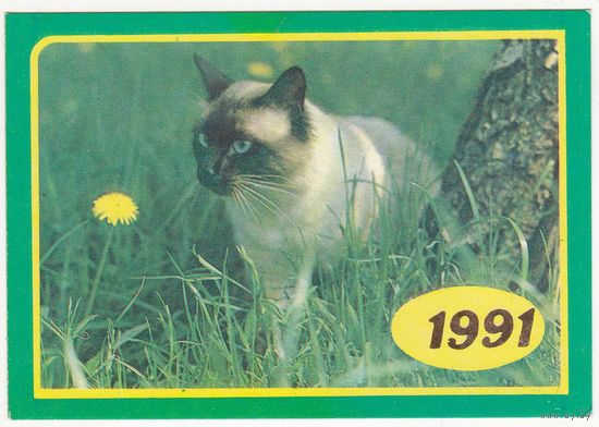 Календарик 1991 (88)