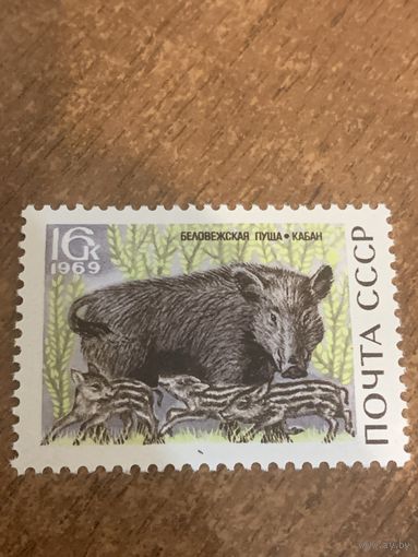 СССР 1969. Дикий кабан. Марка из серии