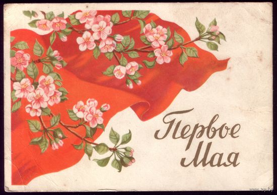1959 год Т.Сазонова 1 мая