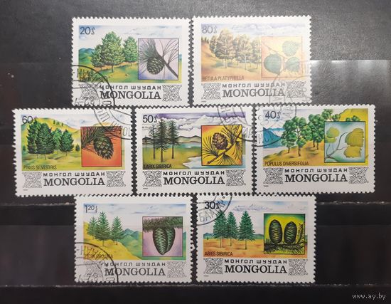 Монголия. 1982 год. Флора. Деревья (1295)