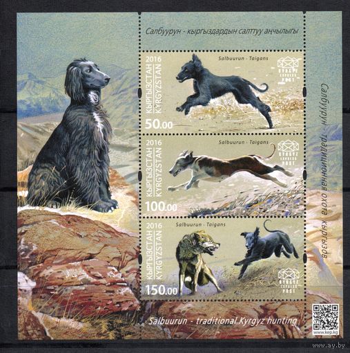 Кыргызстан 2016. Охотничьи собаки. Волк  блок (612)