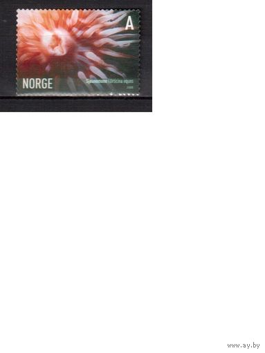 Норвегия-2005,(Мих.1545) ,  гаш., Морская  Фауна