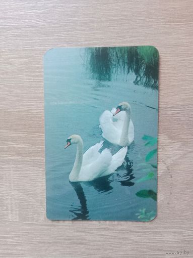 Календарик 1989