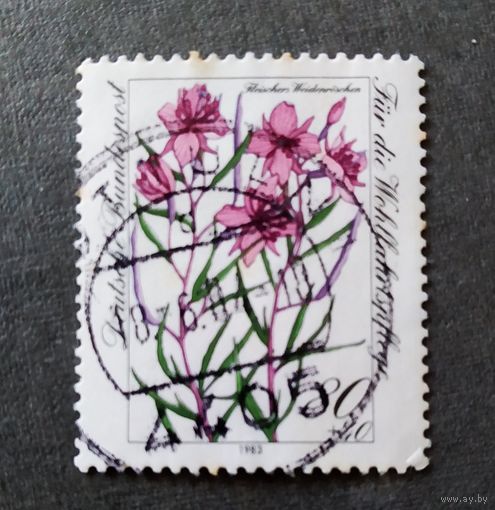 Марка Германия 1983 год Цветы