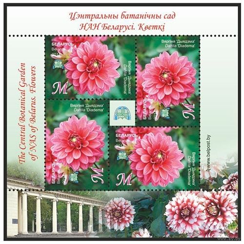 2014г Беларусь MNH  Малый лист "Георгина "Диадема""