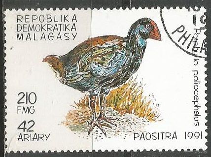 Республика Мадагаскар. Птицы. Султанка. 1991г. Mi#1334.