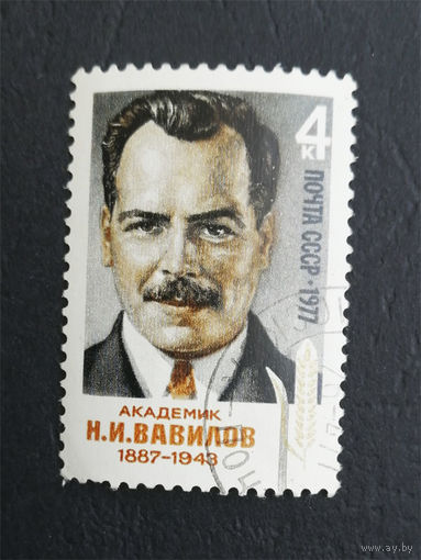 СССР 1977 г. Академик Н.И. Вавилов, полная серия из 1 марки #0301-Л1P17