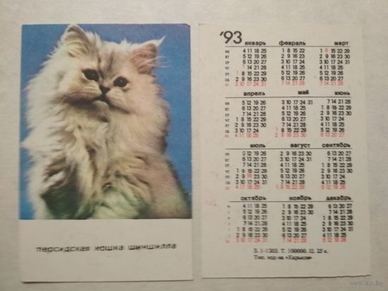 Карманный календарик. Котик.1993 год