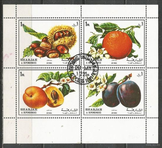 Шарджа. Фрукты. 1972г. Mi#1220-23. Кв.блок.