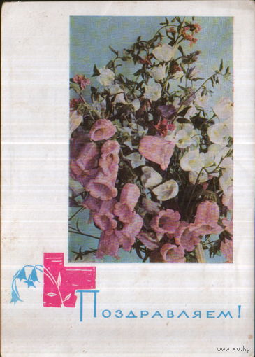 Подписанная открытка 1967г. "Поздравляем! Колокольчики" фото Г. Костенко, худ. П. Вьюев