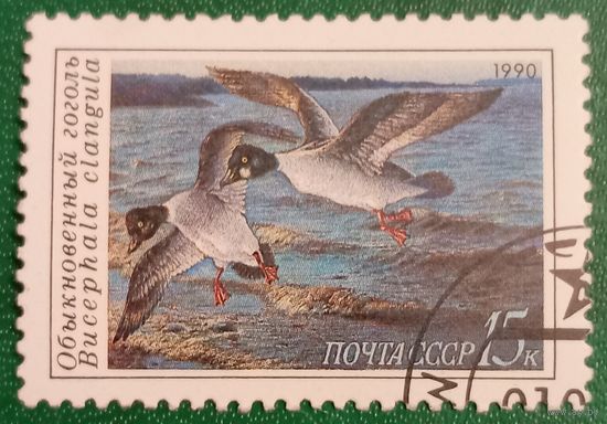 СССР 1990. Фауна. Обыкновенный гоголь