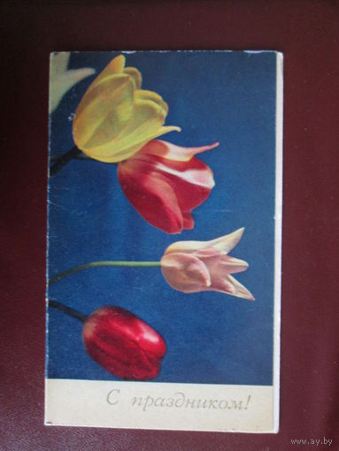 Почтовая карточка.СССР.1970г Чистая.