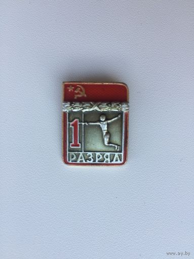 1-й разряд по фехтованию