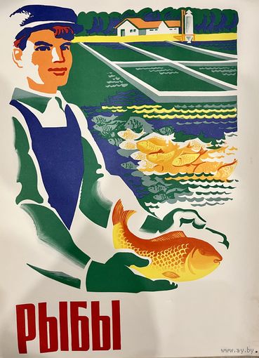 Рыбы. Плакат СССР.  Оригинал. 1977г. Оригинальный плакат из серии  ДЕСЯТОЙ ПЯТИЛЕТКЕ-НАШ УДАРНЫЙ ТРУД.